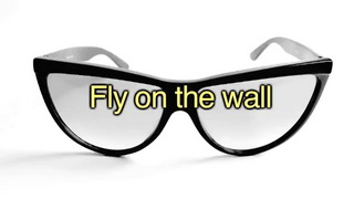 Fly_on_the_Wall.jpg